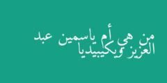 من هي أم ياسمين عبد العزيز ويكيبيديا