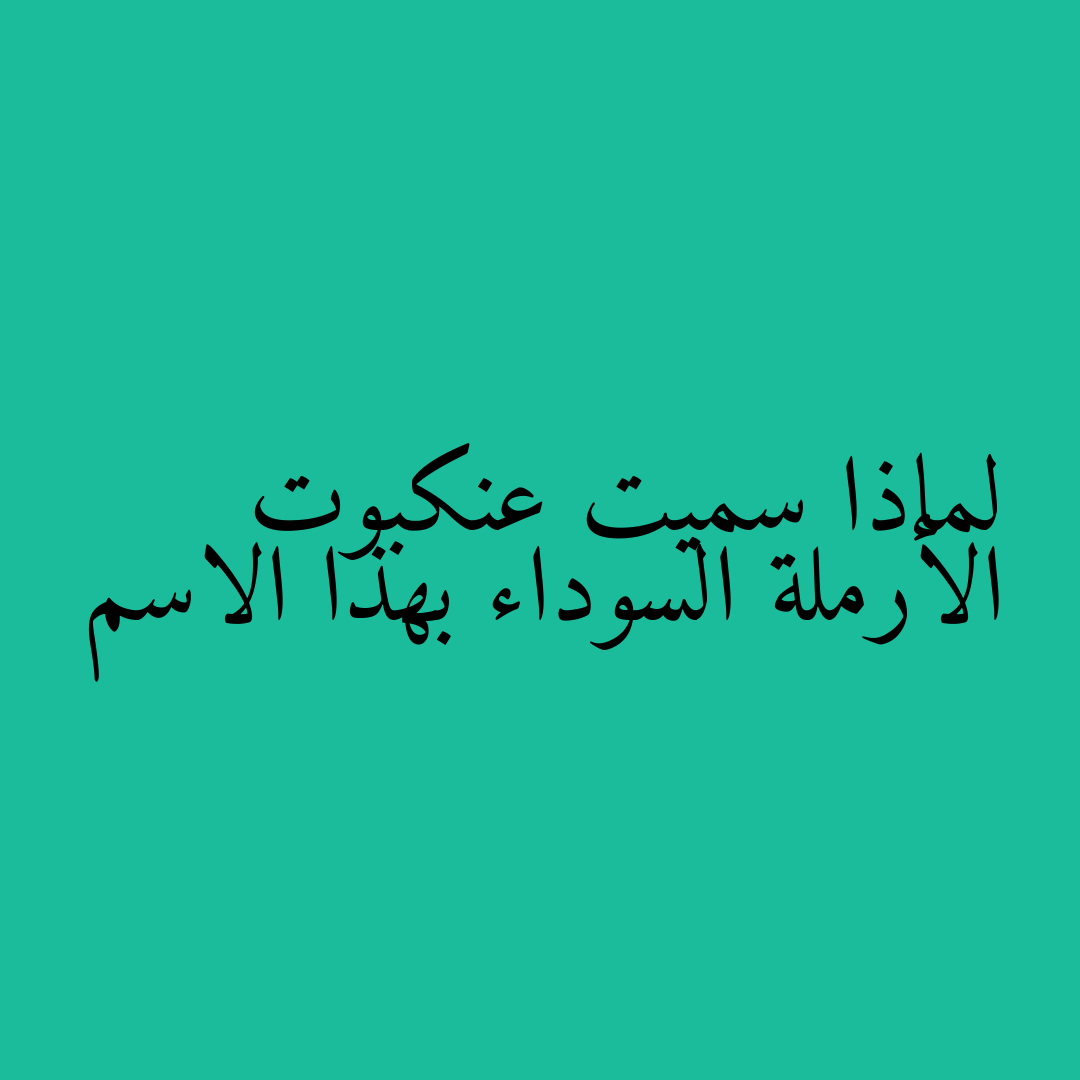 لماذا سميت عنكبوت الأرملة السوداء بهذا الاسم