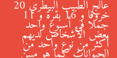 عالج الطبيب البيطري 20 خروفا و 16 بقرة و 11 جملا في أسبوع واحد بعض الأشخاص لديهم أكثر من نوع واحد من الحيوانات كما هو مبين