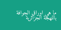 ما هي اوراق الجوافة باللهجة الجزائرية