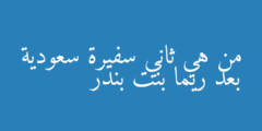 من هي ثاني سفيرة سعودية بعد ريما بنت بندر