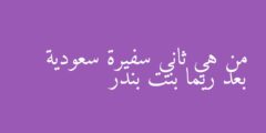 من هي ثاني سفيرة سعودية بعد ريما بنت بندر