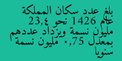 بلغ عدد سكان المملكة عام 1426 نحو 23,4 مليون نسمة ويزداد عددهم بمعدل 0,75 مليون نسمة سنويا