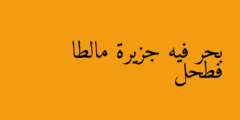 بحر فيه جزيرة مالطا فطحل