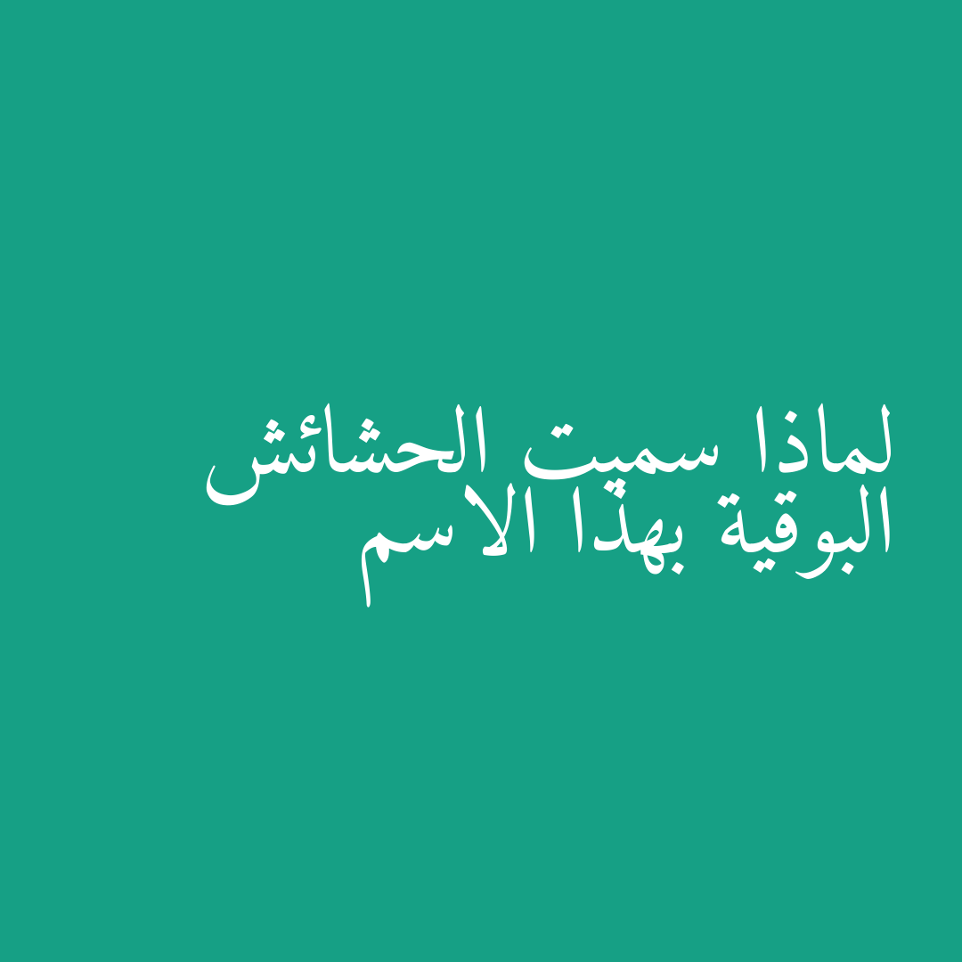 لماذا سميت الحشائش البوقية بهذا الاسم