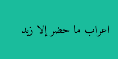 اعراب ما حضر إلا زيد