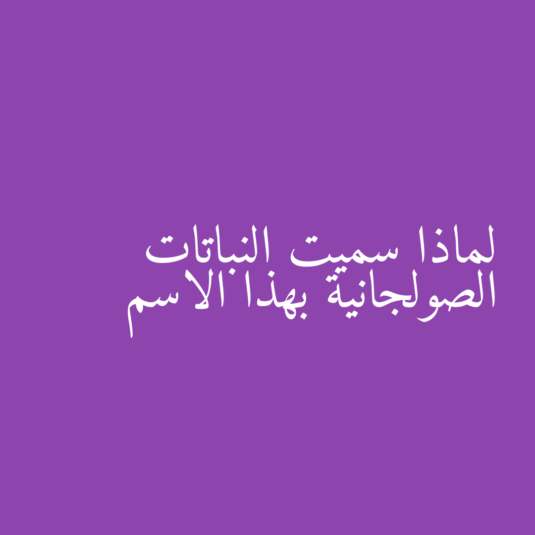 لماذا سميت النباتات الصولجانية بهذا الاسم