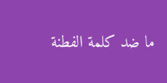 ما ضد كلمة الفطنة