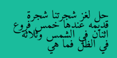 حل لغز شجرتنا شجرة قديمه عندها خمس فروع اثنان في الشمس وثلاثة في الظل فما هي