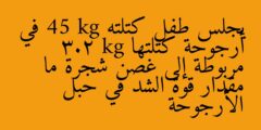 يجلس طفل كتلته 45 kg في أرجوحة كتلتها 3.2 kg مربوطة إلى غصن شجرة ما مقدار قوة الشد في حبل الأرجوحة