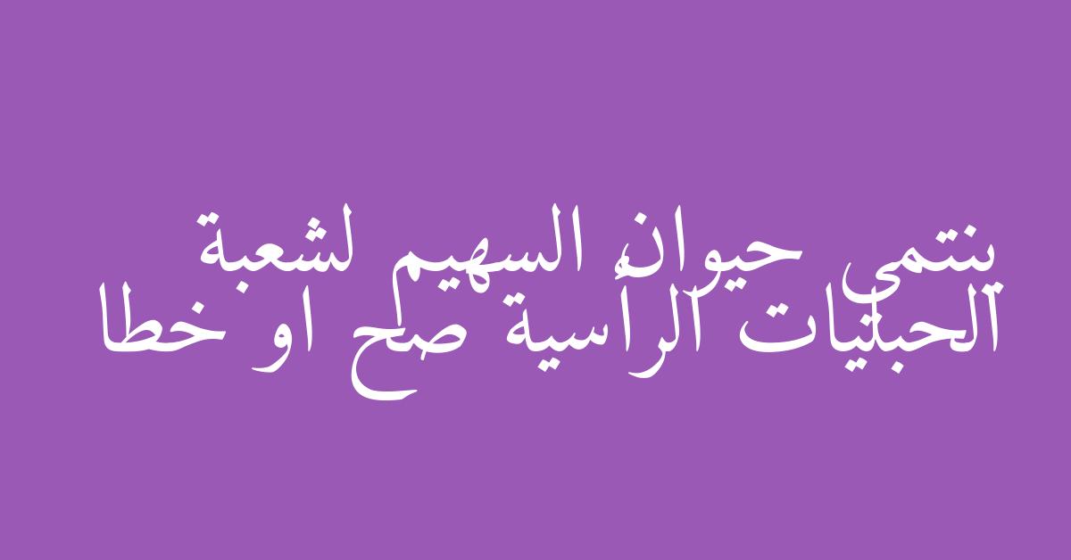 ينتمي حيوان السهيم لشعبة الحبليات الرأسية صح او خطا