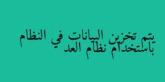 يتم تخزين البيانات في النظام باستخدام نظام العد