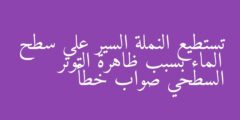 تستطيع النملة السير على سطح الماء بسبب ظاهرة التوتر السطحي صواب خطأ