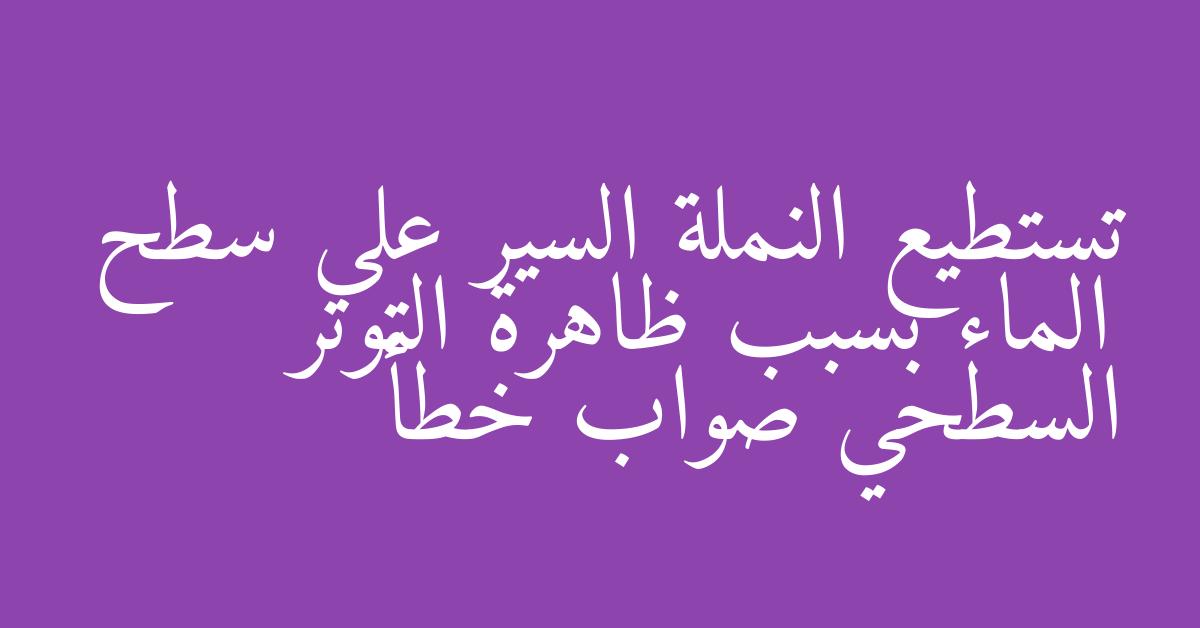 تستطيع النملة السير على سطح الماء بسبب ظاهرة التوتر السطحي صواب خطأ