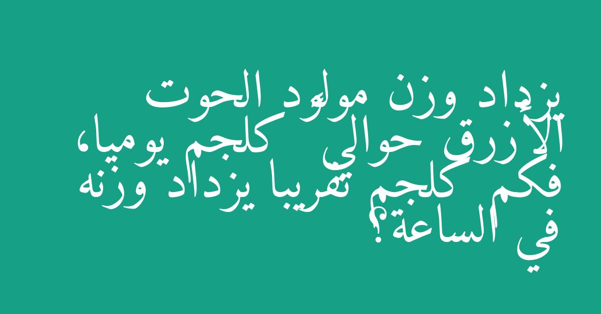 يزداد وزن مولود الحوت الأزرق حوالي ٩٠ كلجم يوميا، فكم كلجم تقريبا يزداد وزنه في الساعة؟