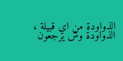الذواودة من اي قبيلة ، الذواودة وش يرجعون