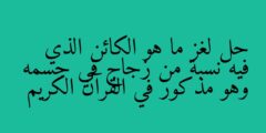 حل لغز ما هو الكائن الذي فيه نسبة من زجاج في جسمه وهو مذكور في القرآن الكريم