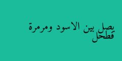 يصل بين الاسود ومرمرة فطحل