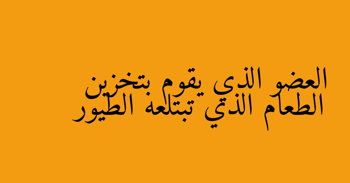 العضو الذي يقوم بتخزين الطعام الذي تبتلعه الطيور