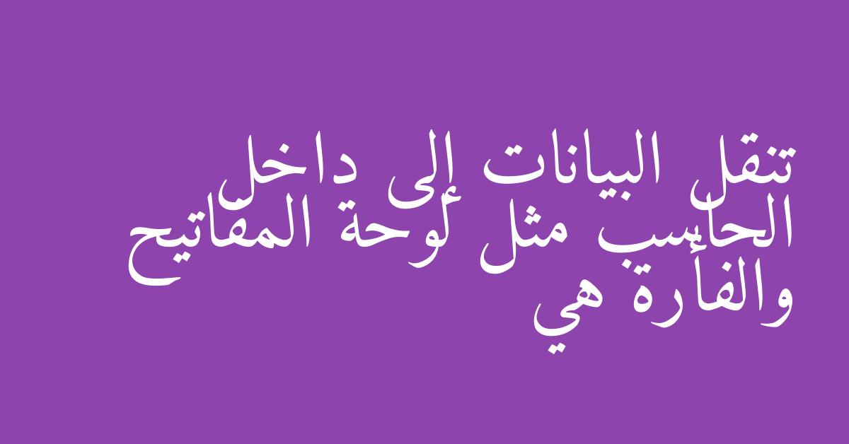 تنقل البيانات إلى داخل الحاسب مثل لوحة المفاتيح والفأرة هي