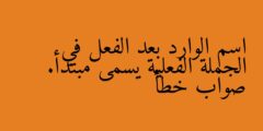 اسم الوارد بعد الفعل في الجملة الفعلية يسمى مبتدأ. صواب خطأ