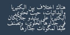 هناك اختلاف بين البكتيريا والبدائيات، حيث تحتوي البكتيريا على ببتيدو جلايكان في جدارها الخلوي، وتصنف طبقا لمكونات جدارها