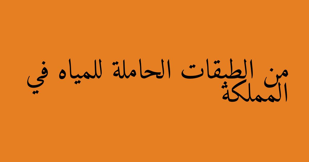 من الطبقات الحاملة للمياه في المملكة