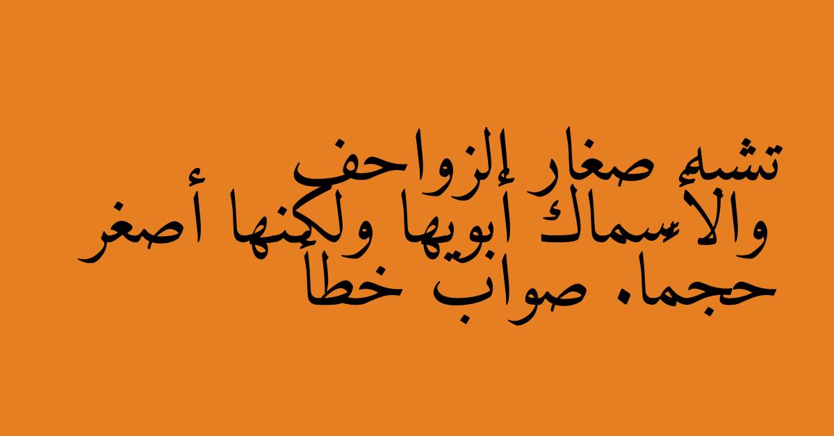 تشبه صغار الزواحف والأسماك أبويها ولكنها أصغر حجمًا. صواب خطأ