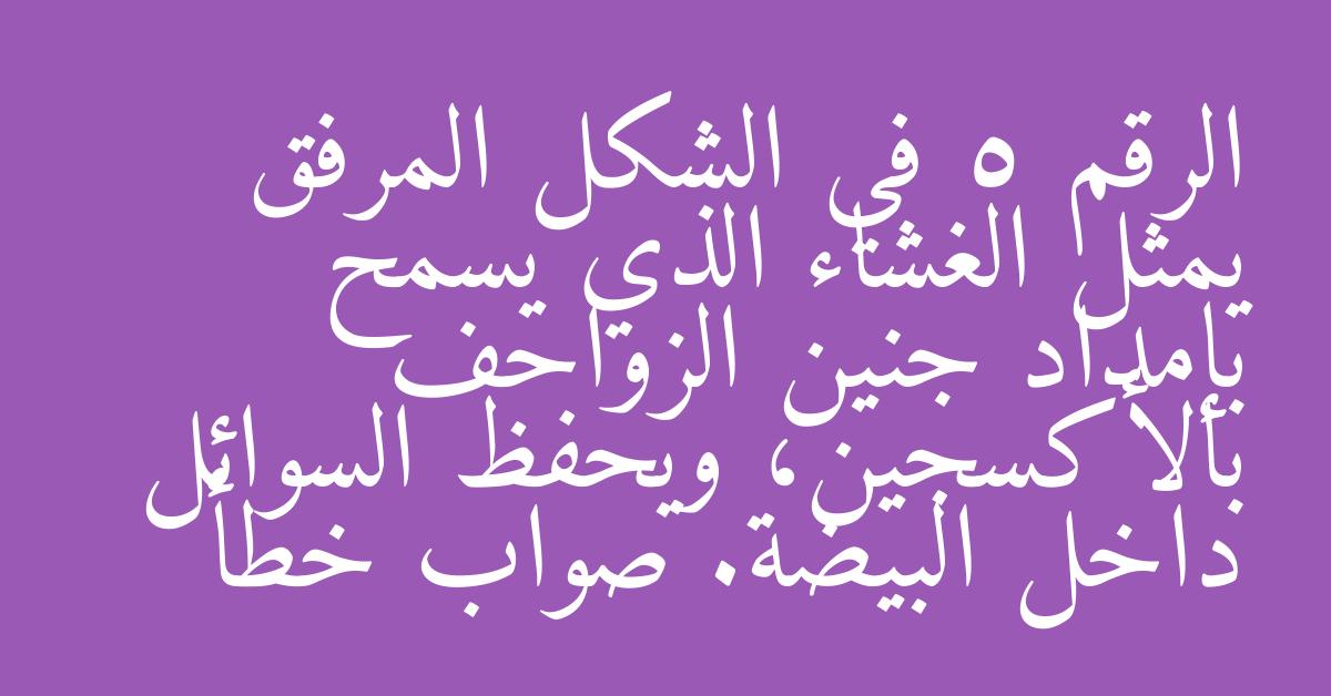 الرقم 5 في الشكل المرفق يمثل الغشاء الذي يسمح بإمداد جنين الزواحف بالأكسجين، ويحفظ السوائل داخل البيضة. صواب خطأ