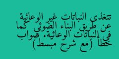 تتغذى النباتات غير الوعائية عن طريق البناء الضوئي كما في النباتات الوعائية. صواب خطأ (مع شرح مبسط)