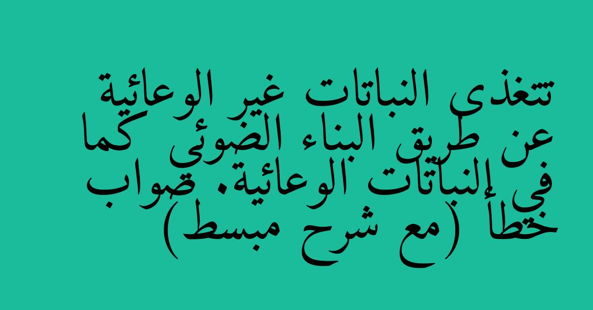 تتغذى النباتات غير الوعائية عن طريق البناء الضوئي كما في النباتات الوعائية. صواب خطأ (مع شرح مبسط)