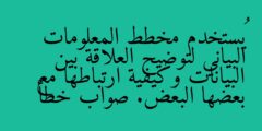 يُستخدم مخطط المعلومات البياني لتوضيح العلاقة بين البيانات وكيفية ارتباطها مع بعضها البعض. صواب خطأ