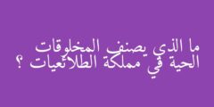 ما الذي يصنف المخلوقات الحية في مملكة الطلائعيات ؟