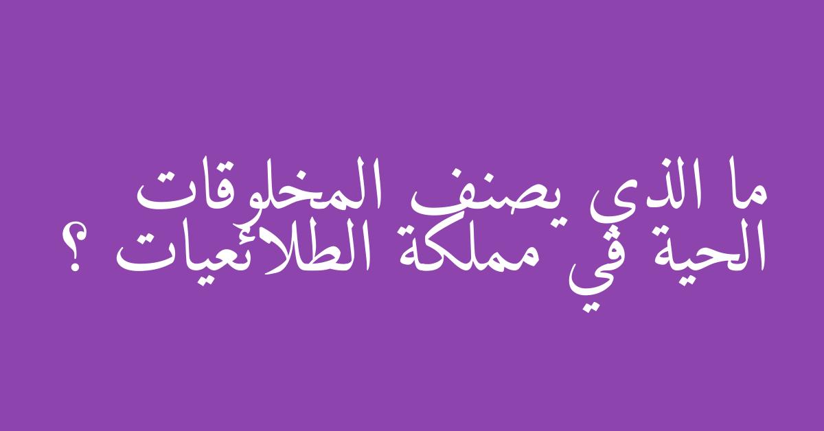 ما الذي يصنف المخلوقات الحية في مملكة الطلائعيات ؟