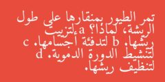 تمر الطيور بمنقارها على طول الريشة، لماذا؟ a لتزييت ريشها. b لتدفئة أجسامها. c لتنشيط الدورة الدموية. d لتنظيف ريشها.