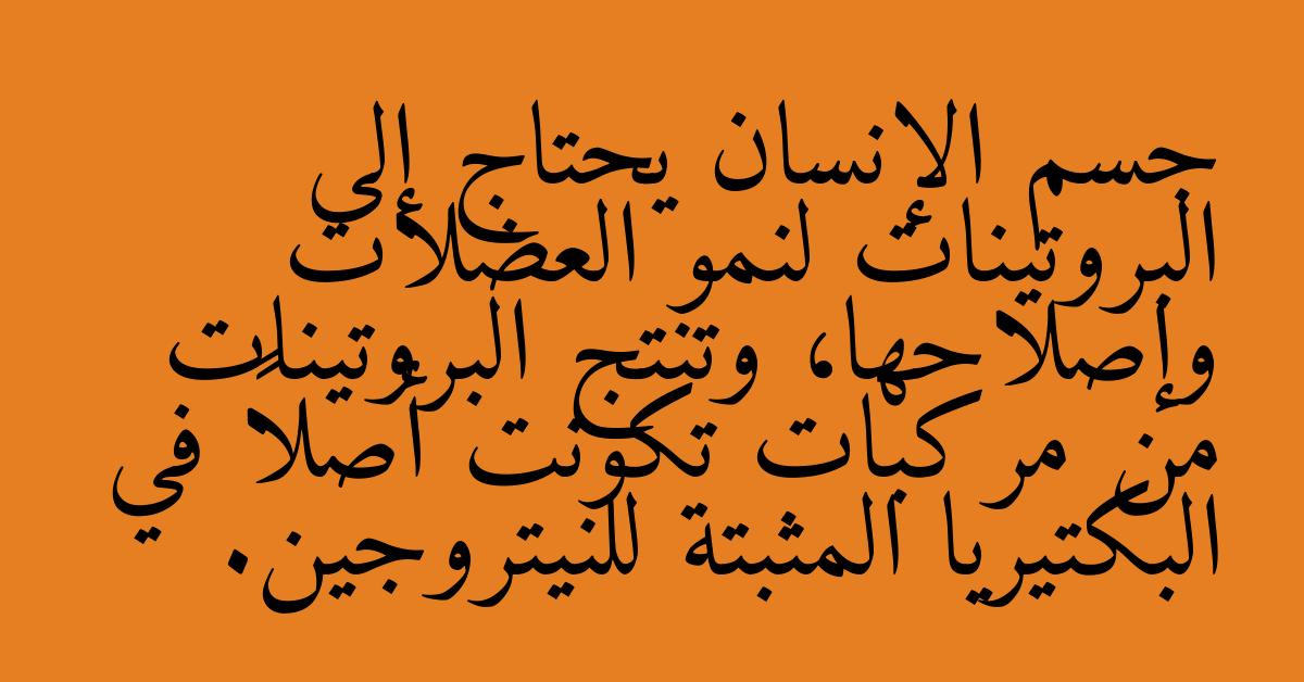 جسم الإنسان يحتاج إلى البروتينات لنمو العضلات وإصلاحها، وتنتج البروتينات من مركبات تكونت أصلاً في البكتيريا المثبتة للنيتروجين.