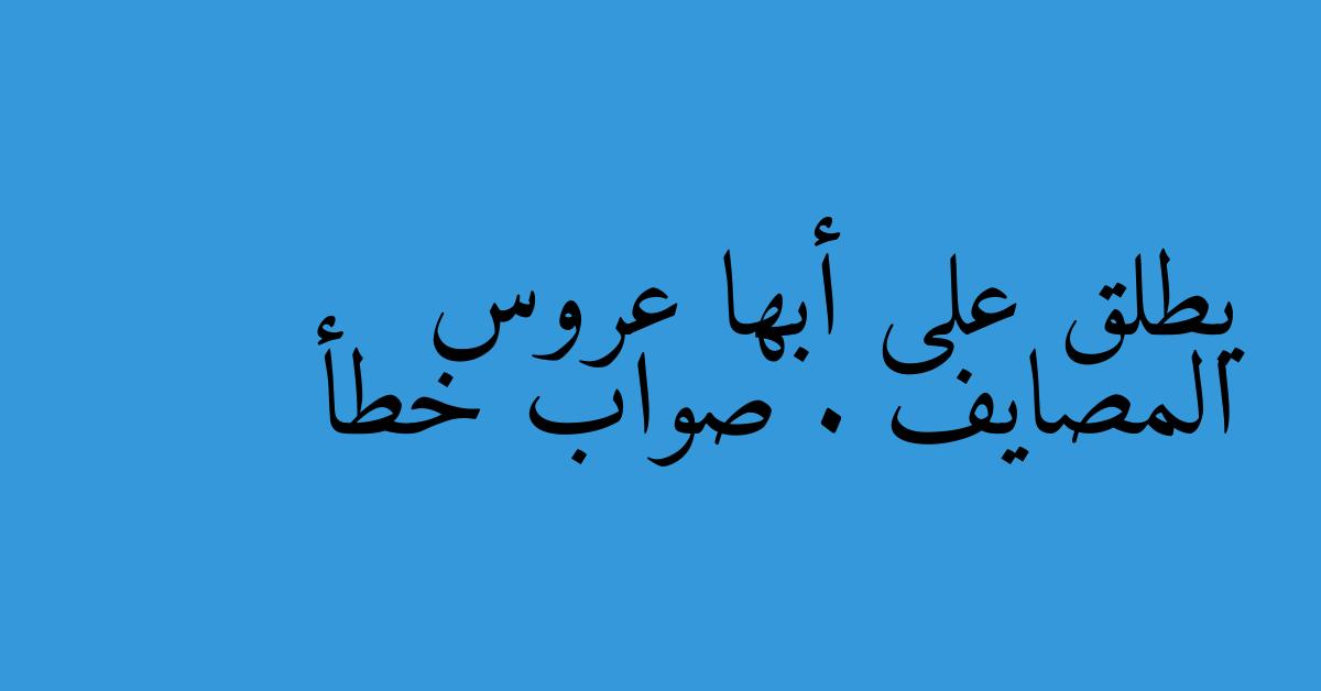 يطلق على أبها عروس المصايف . صواب خطأ