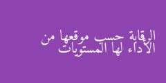 الرقابة حسب موقعها من الأداء لها المستويات