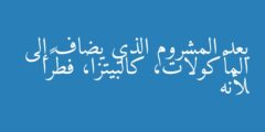 يعد المشروم الذي يضاف إلى المأكولات، كالبيتزا، فطرًا لأنه