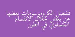 تنفصل الكروموسومات بعضها عن بعض خلال الانقسام المتساوي في الطور
