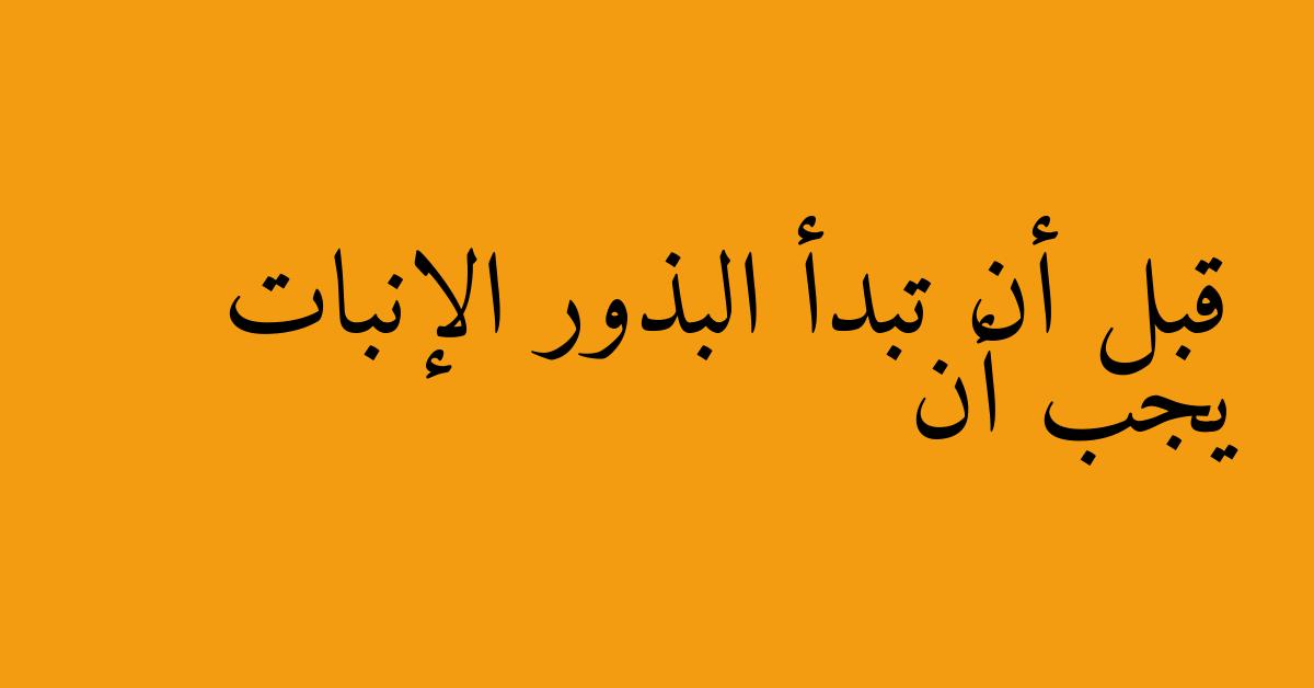 قبل أن تبدأ البذور الإنبات يجب أن