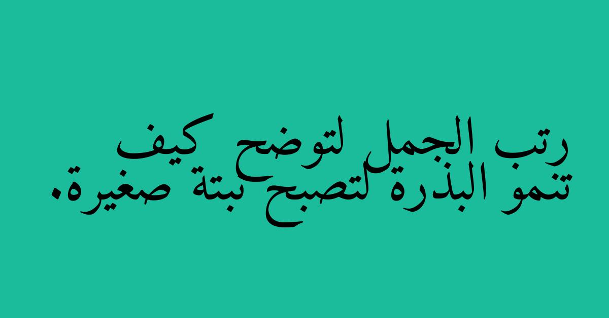 رتب الجمل لتوضح كيف تنمو البذرة لتصبح نبتة صغيرة.