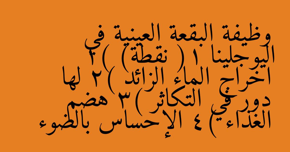 وظيفة البقعة العينية في اليوجلينا (1 نقطة) 1) اخراج الماء الزائد 2) لها دور في التكاثر 3) هضم الغذاء 4) الإحساس بالضوء