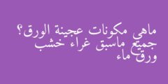 ماهي مكونات عجينة الورق؟ جميع ماسبق غراء خشب ورق ماء