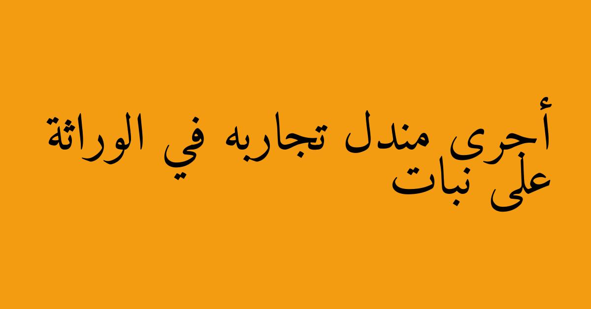 أجرى مندل تجاربه في الوراثة على نبات
