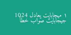 1 ميجابايت يعادل 1024 جيجابايت صواب خطأ