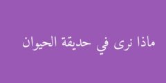 ماذا نرى في حديقة الحيوان
