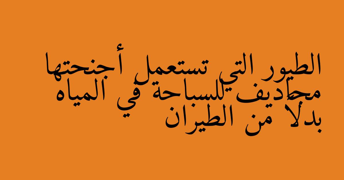 الطيور التي تستعمل أجنحتها مجاديف للسباحة في المياه بدلاً من الطيران