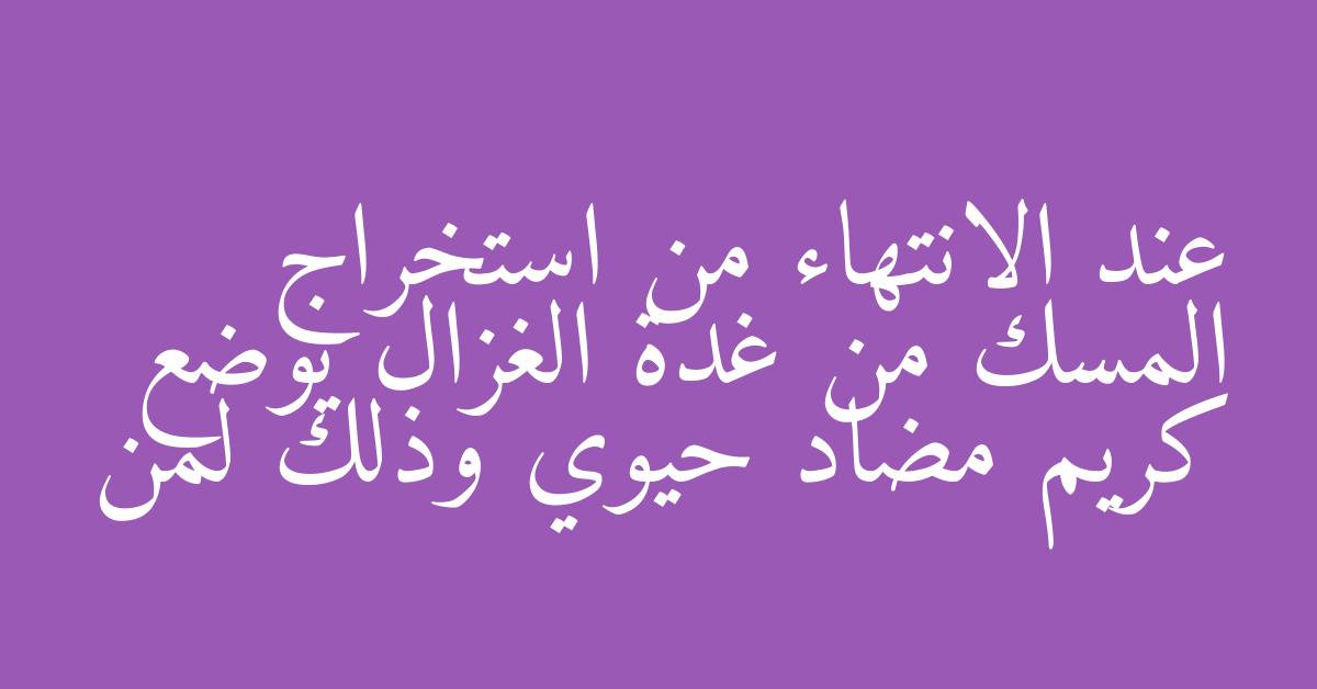 عند الانتهاء من استخراج المسك من غدة الغزال يوضع كريم مضاد حيوي وذلك لمن