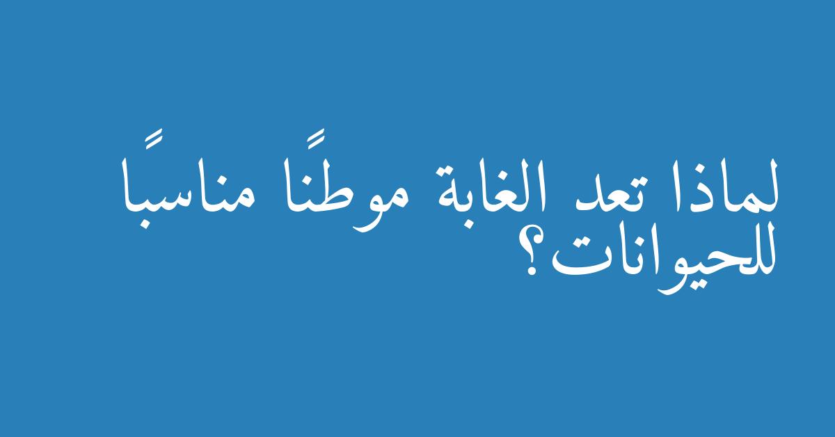 لماذا تعد الغابة موطنًا مناسبًا للحيوانات؟